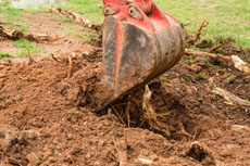 tree stump removals perth